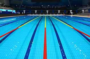 开云官方网页登录-体坛记忆｜福冈世锦赛蝶泳决赛，张雨霏最后5米不换气狂冲，逆袭夺金